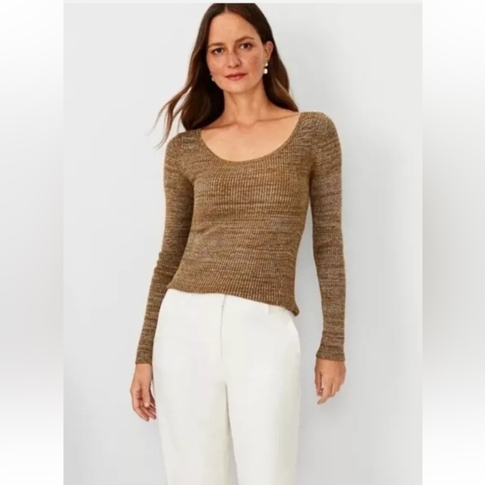 NWT Ann Taylor Sparkle Scoop Neck Long Sleeve Sweater Size Medium